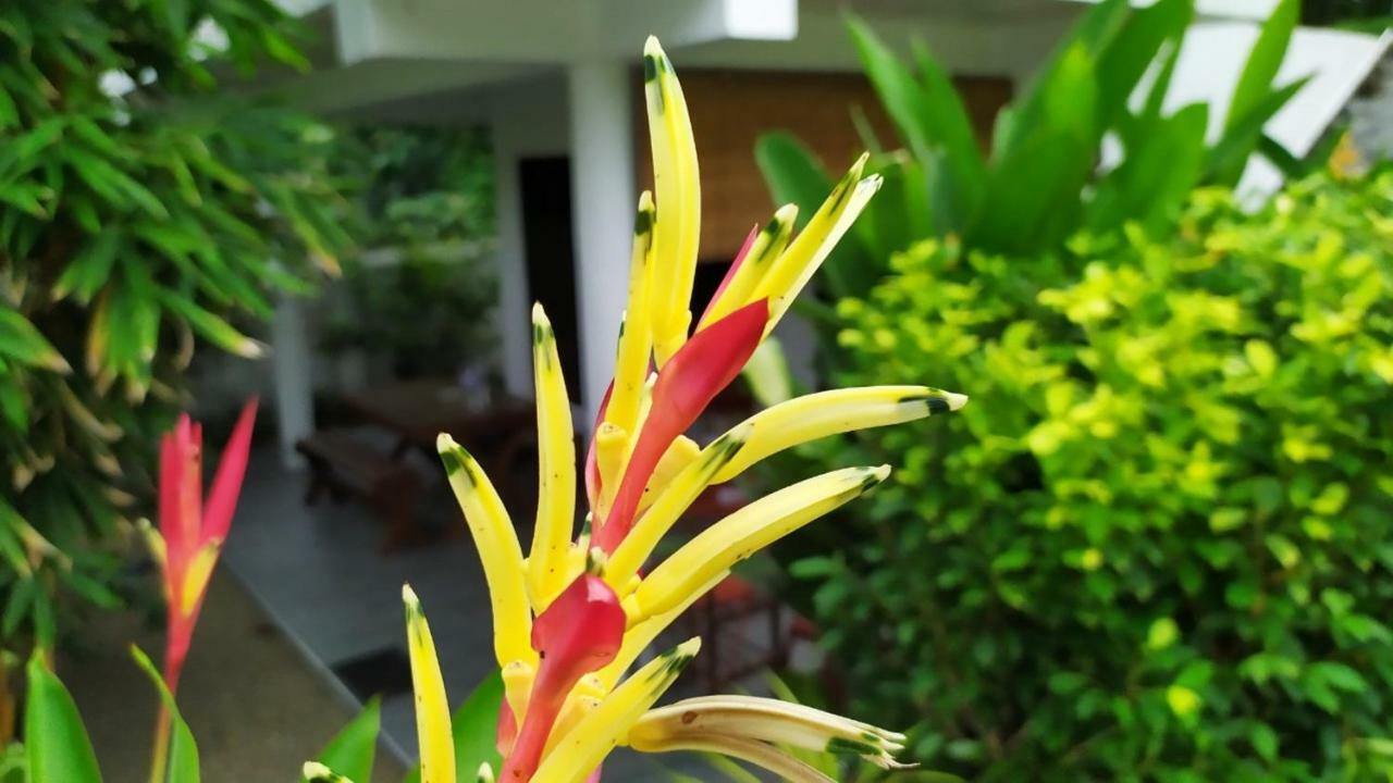 Sunbeam Villa Tangalle Dış mekan fotoğraf
